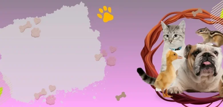 Pet Products